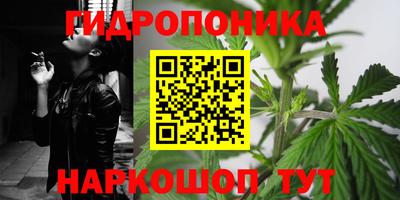 Альфа ПВП Брянск